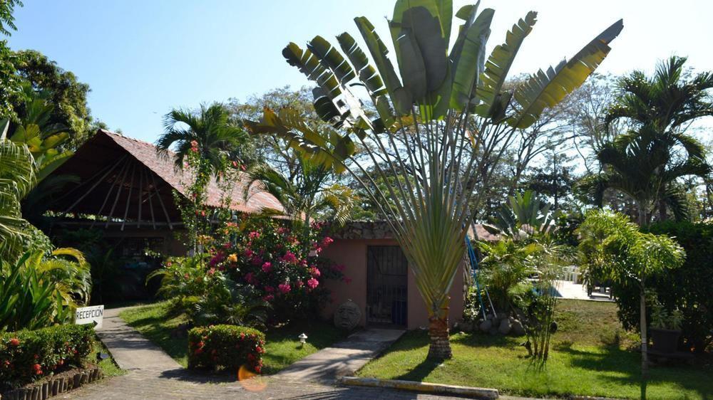 Villa Creole Jacó Exteriér fotografie